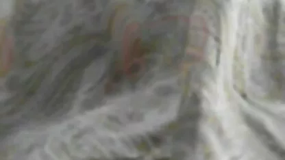 مرغ تازه در دفتر ، گربه ی او را روی عكس كير وكوس دستگاه کپی اسکن می کند و رئیس تصمیم می گیرد که امیدوارترین کارمند را از نزدیک بشناسد